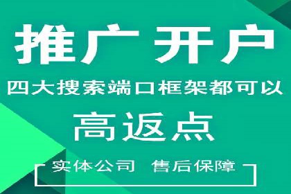 精准投放，高效转化：关键词竞价排名案例解析